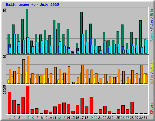 Daily usage for July 2025