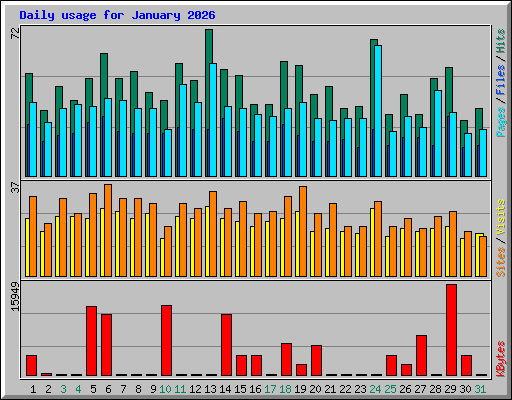 Daily usage for January 2026