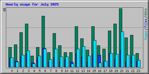 Hourly usage for July 2025