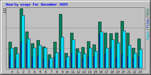Hourly usage for December 2025