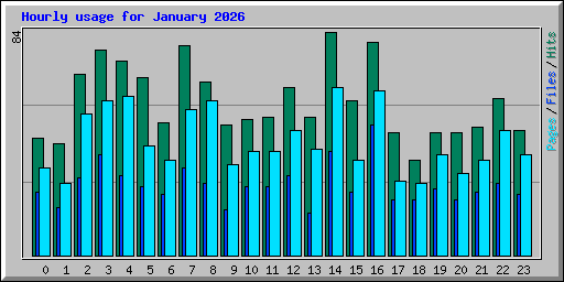 Hourly usage for January 2026