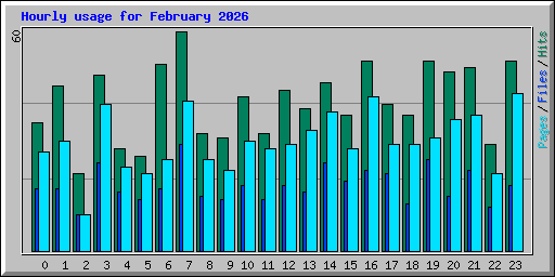 Hourly usage for February 2026